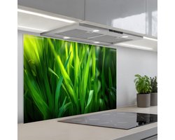 Spatscherm 90x60 cm - Zelfklevende achterwand Grassprieten - Lichtinval - Groen - Keuken muurbeschermer - Spatwand fornuis