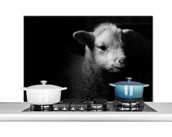 Spatscherm keuken 100x65 cm - Kookplaat achterwand Lam - Schaap - Schaduw - Muurbeschermer - Spatwand fornuis - Hoogwaardig aluminium