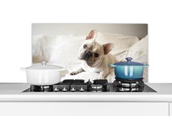 Spatscherm keuken 80x40 cm - Kookplaat achterwand Franse Bulldog - Bank - Kleed - Muurbeschermer - Spatwand fornuis - Hoogwaardig aluminium
