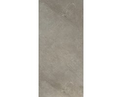 SPC wandpaneel 260x122cm Beige Mat