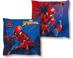 Spiderman Kussen - Web