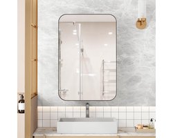 Spiegelkast Inbouw - Wandkast Metaal - Badkamer Opbergen - Verstelbare Planken - 51 x 76 cm - Zwart
