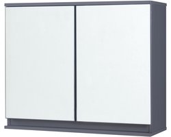 Spiegelkast Overath badkamerkast grijs 49,5x60x20 cm [en.casa]