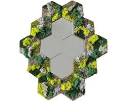 Spiegels en Mos Tegel set Hexagon – Wanddecoratie van Natuurlijk Mos – Handgemaakt – Onderhoudsvrij – Spiegel