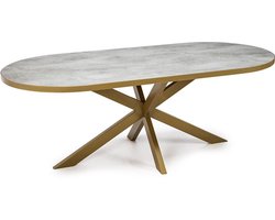 Stalux Eettafel - Tafel Noud - Duurzaam ontwerp - Moderne uitstraling - Ruime tafel - Beton - 210 cm