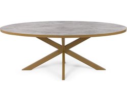 Stalux Ovale eettafel 'Mees' 210 x 100cm, kleur goud / beton