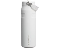 Stanley Flip Straw 2.0 Waterfles Met Rietje 0.7L - 10 Uur Koud - 2 Dagen Koud Met IJs - Roestvrijstalen Drinkfles - BPA Vrij - Lekvrij - Vaatwasserbestendig - Frost