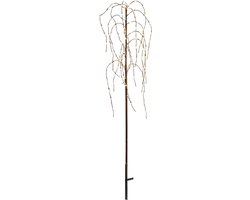 Star Trading LED tuinlamp 'Willow', lichte takken, bruin