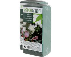 Steekschuim/oase - nat - 20 x 10 x 7 cm - groen - 2x stuks