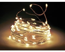 STEGGER - kerstverlichting - Lichtsnoer - Flesverlichting 20 LED zilverdraad warm wit