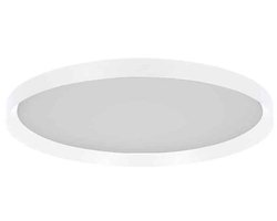 Steinhauer - plafonniere - Flady - wit - kunststof metaal - Ø 40cm - LED - 3685W