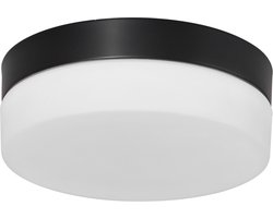 Steinhauer - plafonniere - Ikaro - zwart - glas metaal - Ø 18cm - LED - 1362ZW