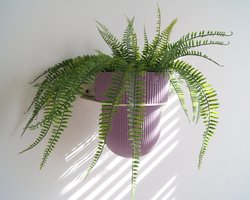 STERKSTAEL Eco Pot Flora M Lavender Mist – bloempot voor aan de wand – bloempot voor binnen – zwevende bloempot – bloempotten binnen – plantenbak - diameter 15 cm – kleur pot Lavendel paars – kleur houder Japandi Beige