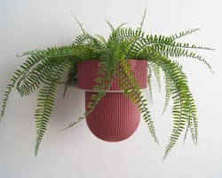 STERKSTAEL Eco Pot Flora S Cherry Pop – bloempot voor aan de wand – bloempot voor binnen – zwevende bloempot – bloempotten binnen – plantenbak - diameter 12 cm – kleur pot Rood Roze – kleur houder Greige