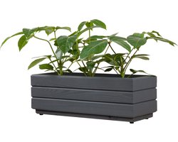 Stevige Bloembak - Antraciet kleur hout - Fijnsparhout - 50x17x17 cm - Duurzaam - Weerbestendig Houten Bak - Tuin