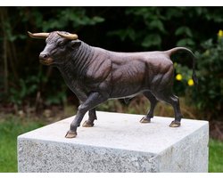 Stier