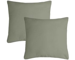 Stof Textile sierkussen Nelson - 2x - groen - 60 x 60 cm - bank kussens - zitkussens - binnen/buiten - polyester