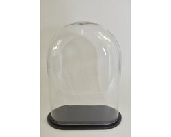Stolp ovaal XL helder glas 30x16x40cm zwart houten plateau