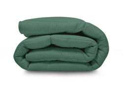Stonewashed All in One Wasbaar Dekbed Easy 140x200 - Dekbed zonder overtrek - Hoesloos dekbed - Eazy dekbed - Gekleurd dekbed - All Year Winterdekbed & Zomerdekbed - Eenpersoons Dekbed - Frosty Spruce - Dekbedden