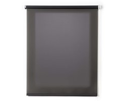 Storesdeco - Rolgordijnen, Doorschijnend rolgordijn Grijs, 100x250 cm