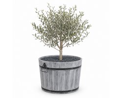 Storm Plantenbak Rond L - 55x38 cm - Geborsteld Grijs - Acaciahout FSC - voor Binnen, Buiten en Balkon - Boomkuip