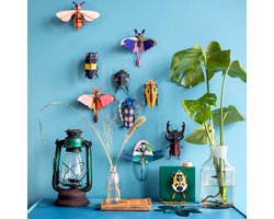 Studio Roof Mango Flower Beetle