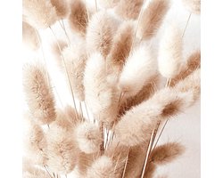 Stunq® wandafbeeldingen set boho stijl - beige afbeelding XXL woonkamer