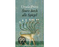 Sturz durch alle Spiegel