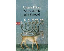 Sturz durch alle Spiegel