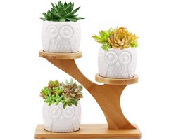 Succulent Pots - Keramische Bloempot met Bamboe Bakhouder - Kleine Cactus Plantenpotten voor Thuis en Kantoor - Decor voor Vensterbank