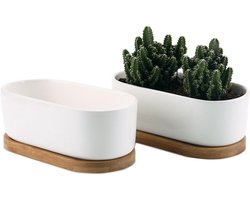 Succulente Plantenpot Set van 2 Ovaal Keramiek Vetplant Bloempot met Bamboe Onderzetter - Wit - Ideaal voor Sappige Aloë - Kamerplant Decoratie met Afvoergat - Geschenk添加 - 17CM