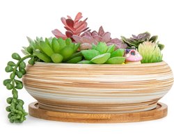 Succulents Pots - 18.5cm Large Bonsai Pot with Drainage Tray Shallow Succulents for Indoor Plants Decorative Flower Cactus Planter by ARTKETTY