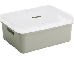 Sunware opbergbox/mand/kist van 24 liter lichtgroen kunststof met transparante deksel - 45 x 35 x 18 cm