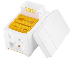 SVGCommerce - Bijenkorf - Bijenhouden - Duurzaam en veilig ontwerp - 1 x 1 x 1 cm - Pollinatie - Beheers je bijenkorf - Kleur #637