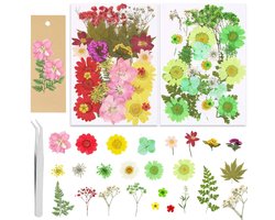 SVGCommerce - Echte gedroogde bloemen - Creatieve knutselset - Bruin - DIY kaarsen en sieraden - Perfect voor kunstprojecten - 65 stuks