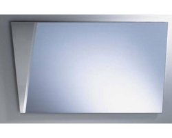 Swallow spiegel 90x60cm