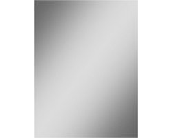 Swallow spiegel rechthoekig 51 x 40cm