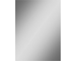 Swallow Square spiegel rechthoekig 100x60cm