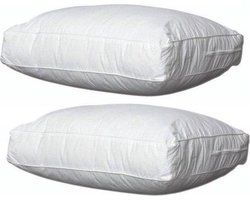 Swiss Box Kussen 50x60x10 2 stuks