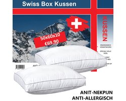 Swiss Boxkussen 50x60x10 cm per 2 stuks 100% Katoen