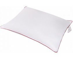 Syndonfill® - Hoofdkussen - Anti-allergie - Navulbaar - 60x70cm