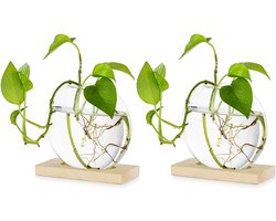 Tafelblad hangende glazen plantenbak - stuks van 2 - kweekstation moderne bloemenknopvaas - houten standaard rek - terrarium voor hydrocultuur planten stekken - kantoor woondecoratie - cadeau voor plantenliefhebbers