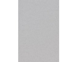 Tafelkleed Zilver Papier