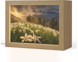 Tafellamp 20x15 cm - LED lamp - Bloemenveld - Heuvels - Zonsondergang - Berg - Natuur - Wit - Heuvels - Decoratieve tafellampen - Dimbaar - Tafellampje slaapkamer - Woonkamer binnen