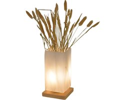 Tafellamp USB Plug-in Dimbaar Melkglas Kap Decoratief Bedlampje Slaapkamer Woonkamer Home Office LE24A