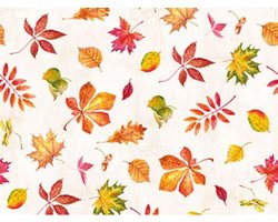Tafelloper Herfst Papier op rol 490 cm - Herfst tafelloper of placemat met print van herfstbladeren