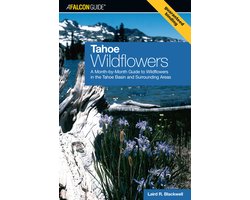 Tahoe Wildflowers