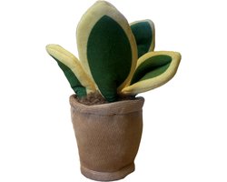 Take Me Home plant pluche Sansevieria 12-17cm 660620