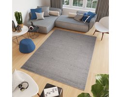 Tapiso Noyan Vloerkleed Tapijt Grijs Laagpolig Woonkamer Rugs Maat- 200x300
