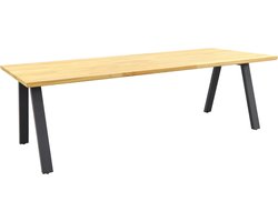 Taste Ambassador tuintafel - 240x100 cm.